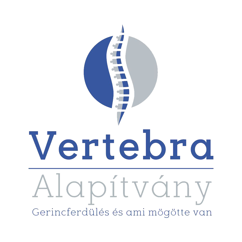 vertebra logo